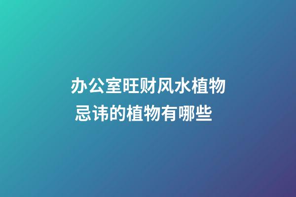 办公室旺财风水植物 忌讳的植物有哪些